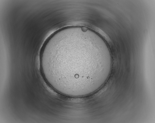 X0000111131079200907141206