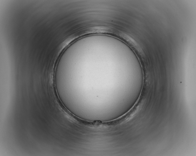 X0000111131081200907141206