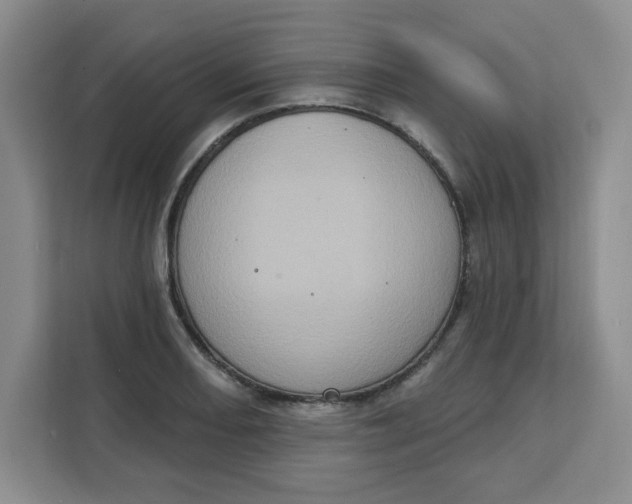 X0000111131082200907141206
