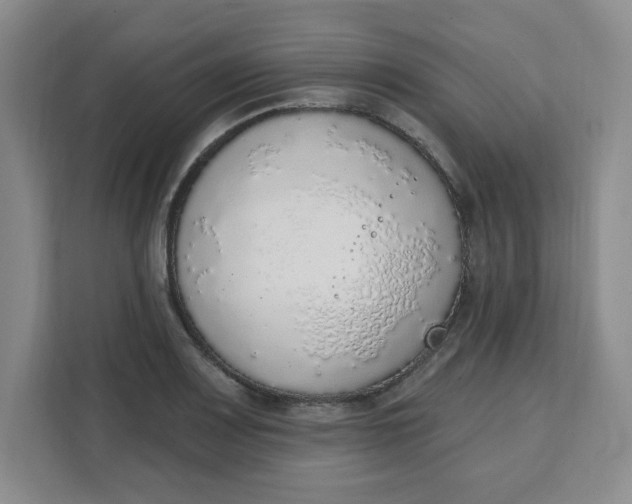 X0000111131083200907141206