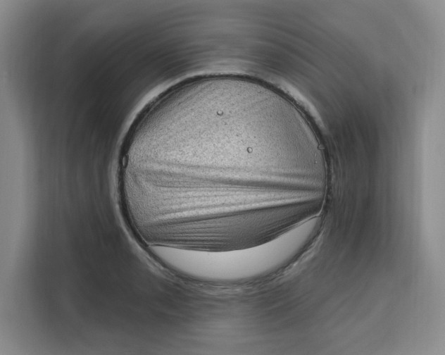 X0000111131085200907141206