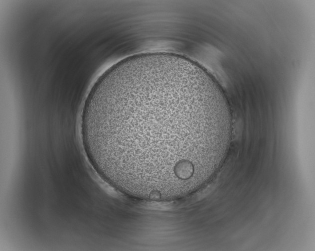 X0000111131086200907141206