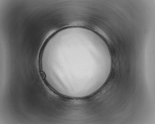 X0000111131087200907141206