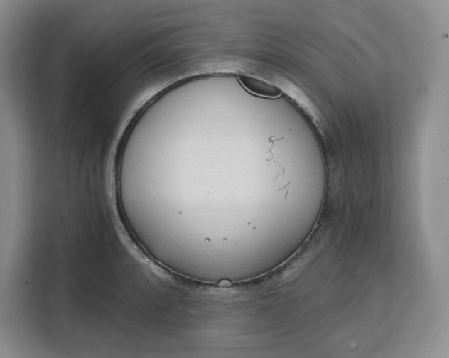 X0000111131088200907141206