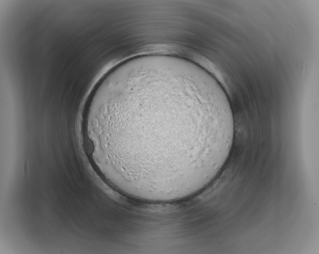 X0000111131091200907141206