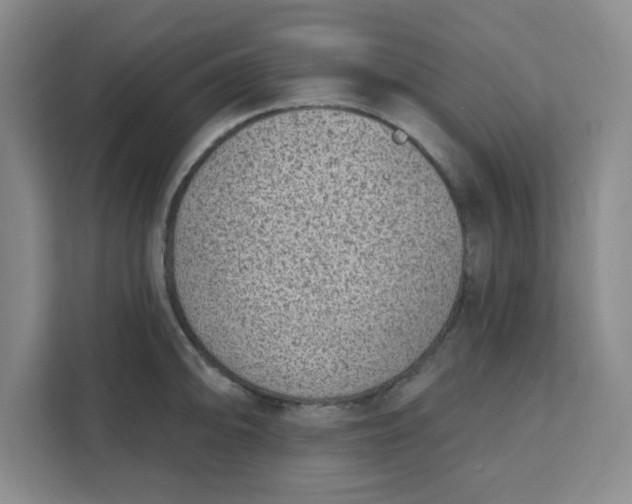 X0000111131094200907141206