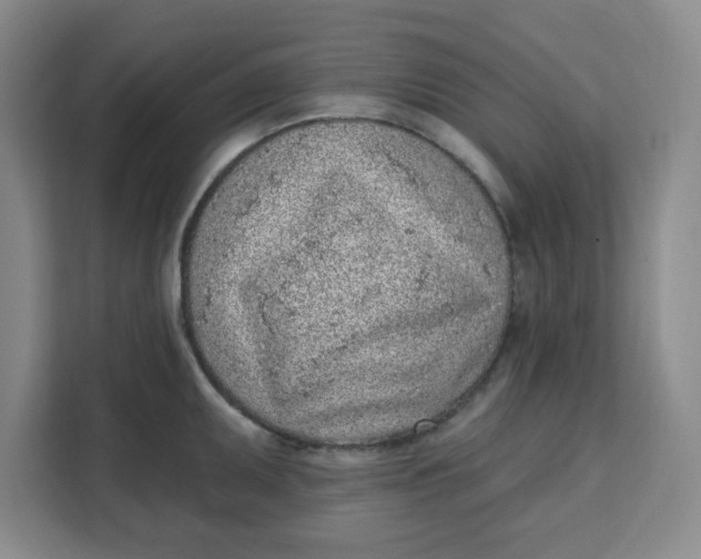 X0000111131095200907141206