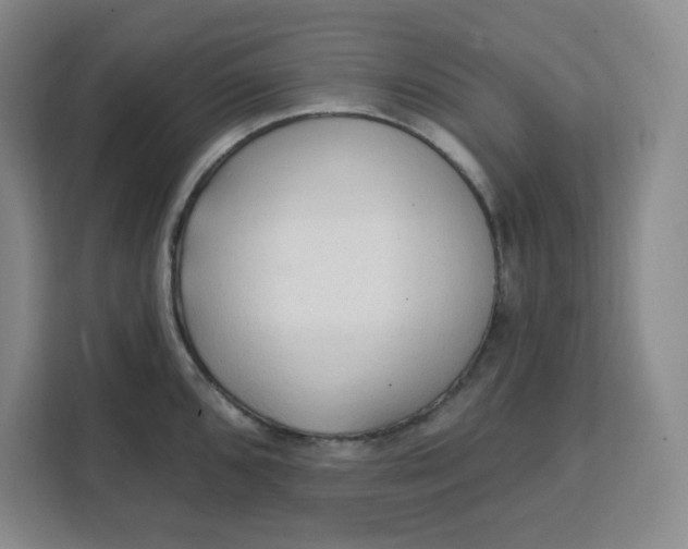 X0000111131096200907141206