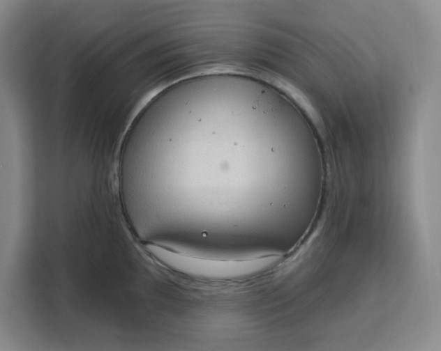 X0000111131097200907141206