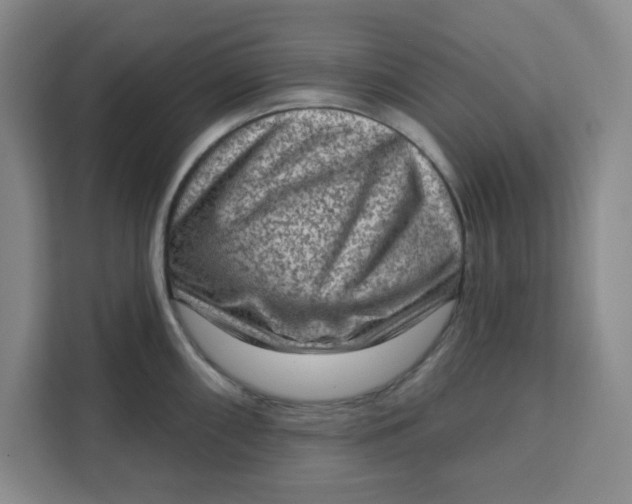 X0000111131098200907141206