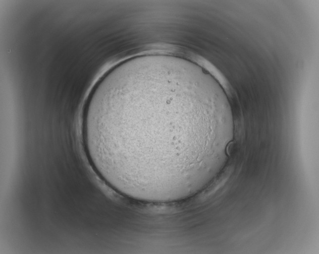 X0000111131099200907141206