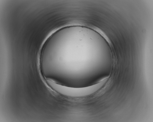 X0000111131101200907141206