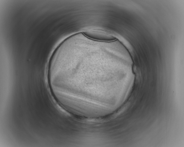 X0000111131102200907141206