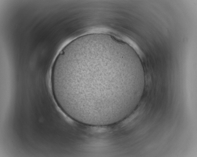X0000111131103200907141206