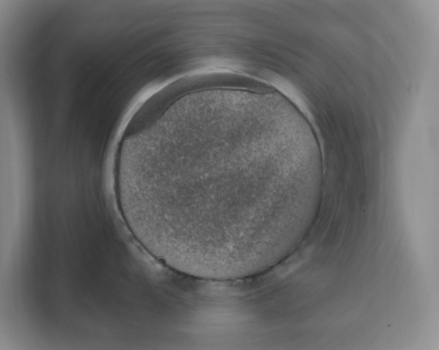 X0000111131104200907141206