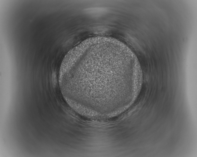 X0000111131106200907141205