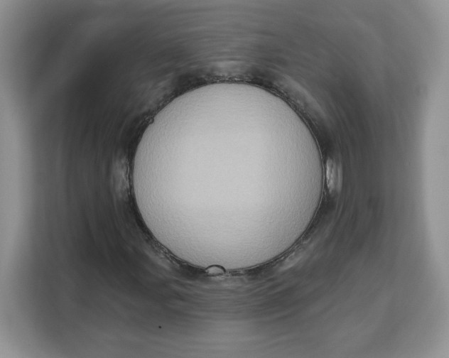 X0000111131107200907141205