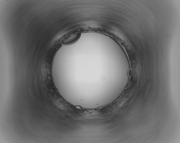 X0000111131112200907141205