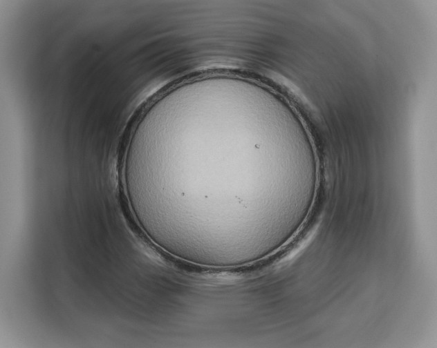 X0000111131113200907141205
