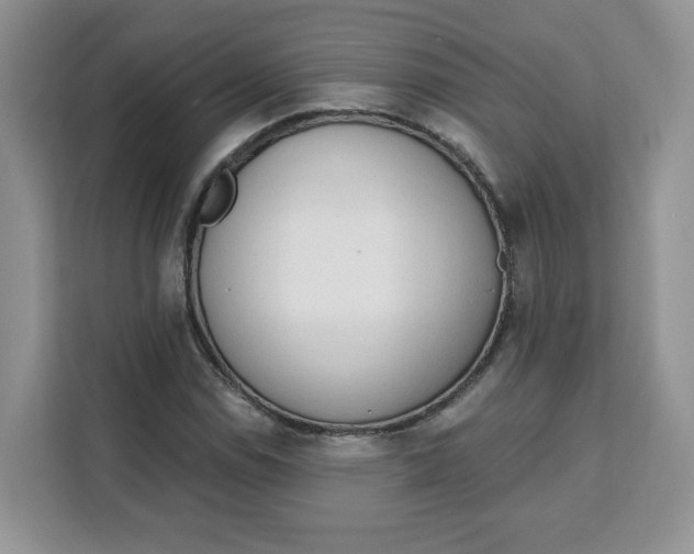 X0000111131114200907141205