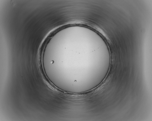 X0000111131116200907141205