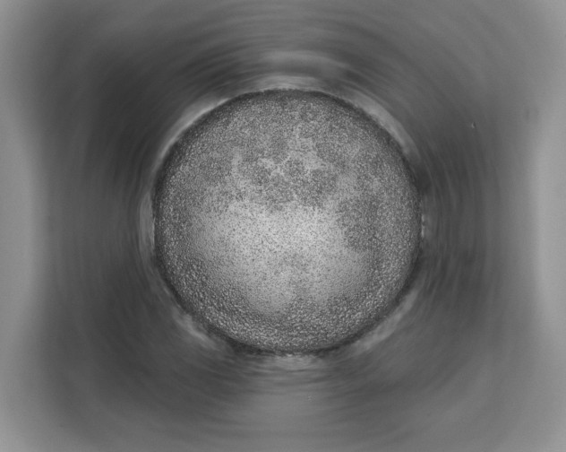 X0000111131117200907141205
