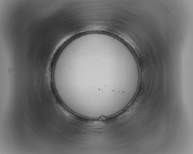 X0000111131119200907141205