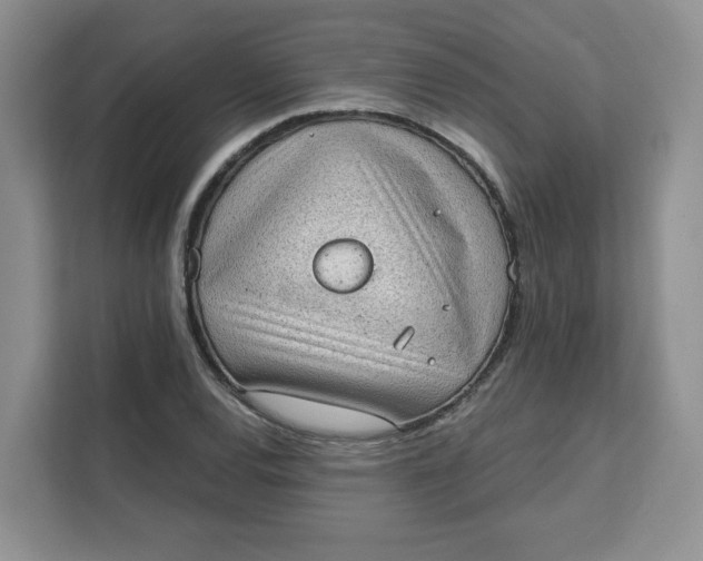 X0000111131120200907141205