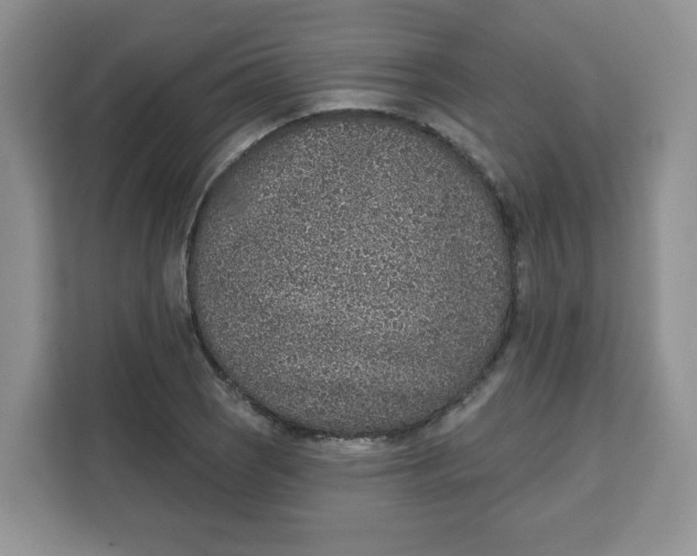 X0000111131121200907141205
