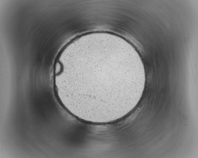 X0000111131126200907141205
