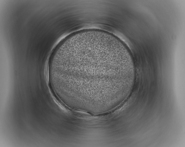 X0000111131127200907141205