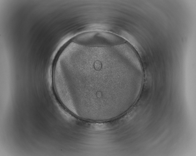X0000111131128200907141205