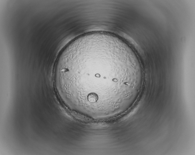 X0000111131129200907141205