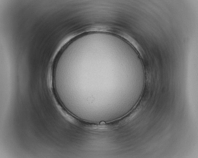 X0000111131131200907141205