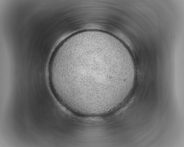 X0000111131133200907141205