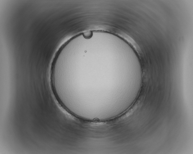 X0000111131135200907141205