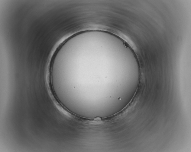 X0000111131136200907141205