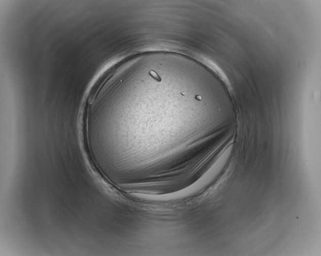 X0000111131138200907141205
