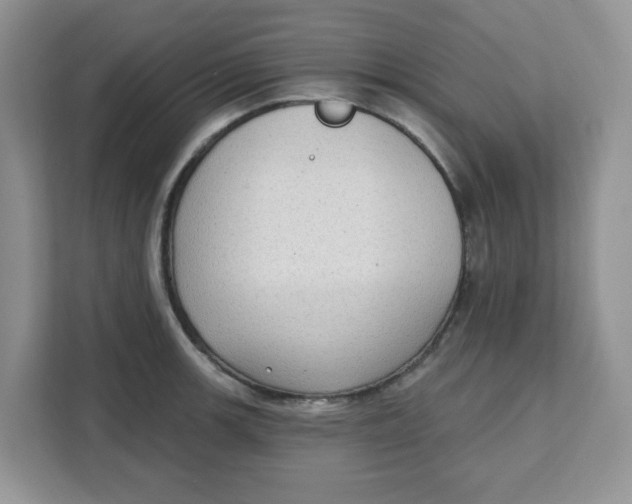 X0000111131139200907141205