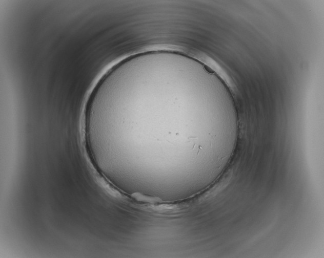 X0000111131140200907141205