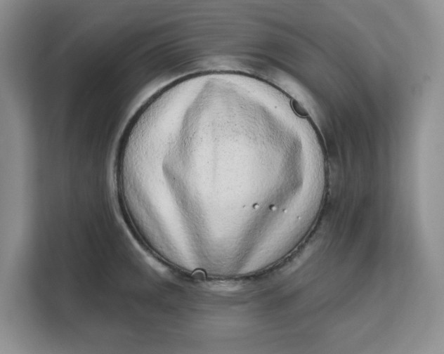 X0000111131141200907141205