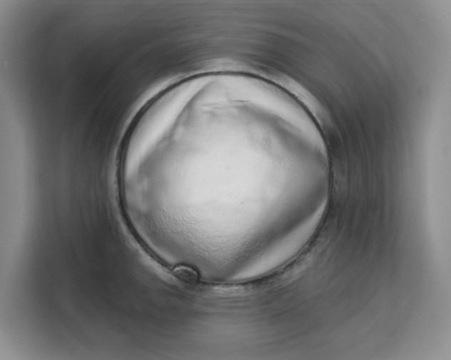 X0000111131142200907141206