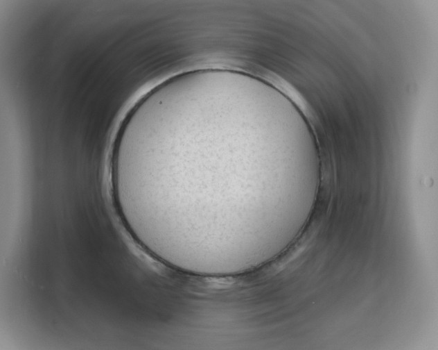 X0000111131144200907141206