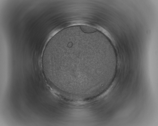 X0000111131145200907141206