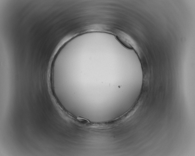 X0000111131146200907141206