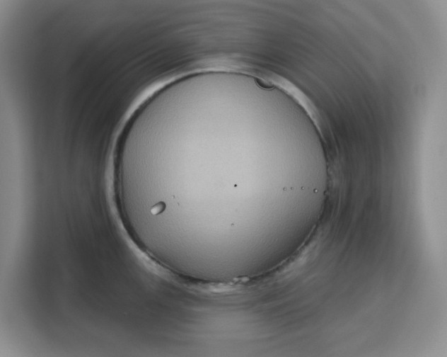 X0000111131147200907141206
