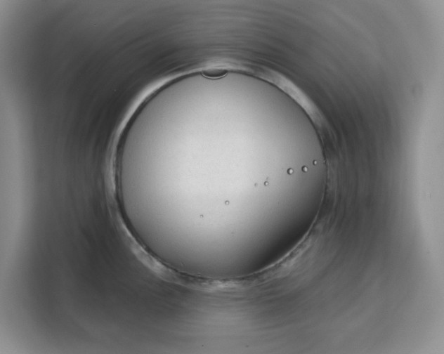 X0000111131148200907141206