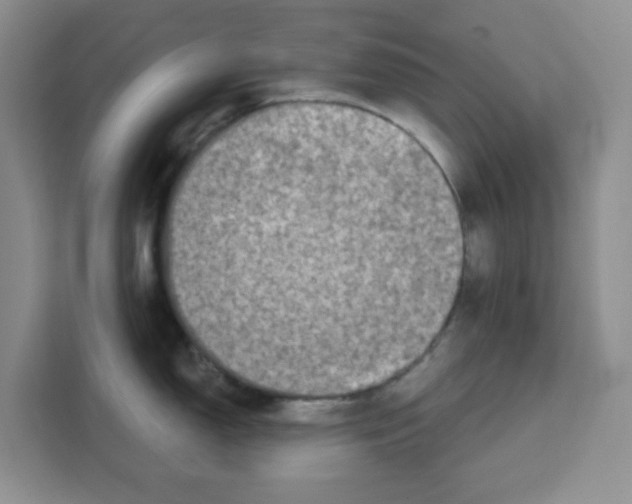 X0000111131150200907141206