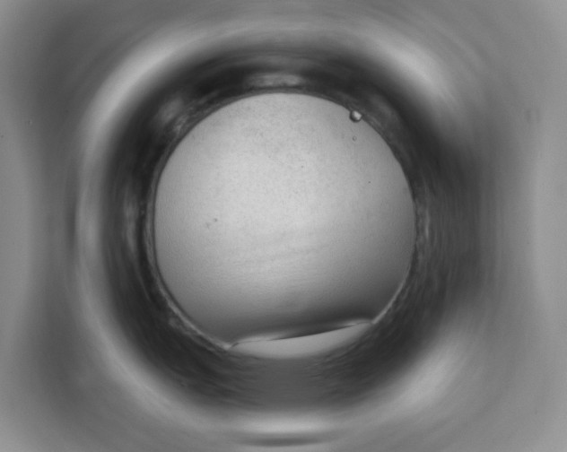 X0000111131151200907141206