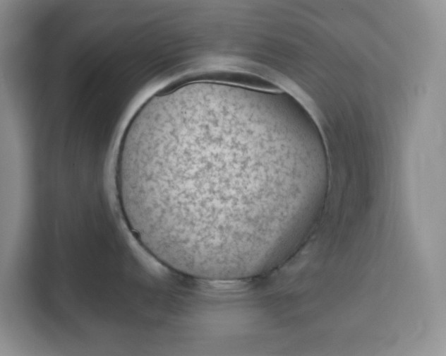 X0000111131152200907141206